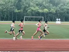 给运动会裁判员赛场帷幄助称雄 给运动会裁判员赛场帷幄助称雄